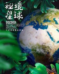 多尼斯盘中异动 急速下跌6.09%